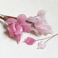 Leaf glass on wire pin
