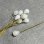 画像1: 10x7 White Opal drop pin (1)