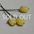 16x11 Lemon on wire