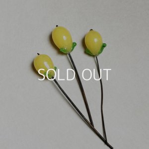 画像2: 16x11 Lemon on wire