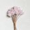 BE-25180 "Pale Pink"
