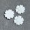画像1: 21.5mm White flower cabochon (1)
