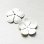 画像1: 25mm White 5-petal enameled flower (1)