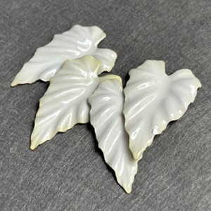 "White"の経年変色