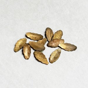 画像2: 2pcs 11x5 textured leaf stamping