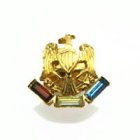 他のイメージ1: Military Eagle pin