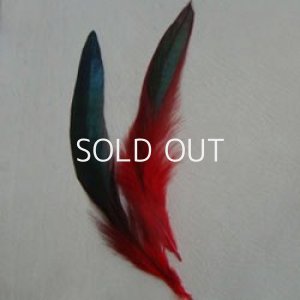 画像1: dyed red feather