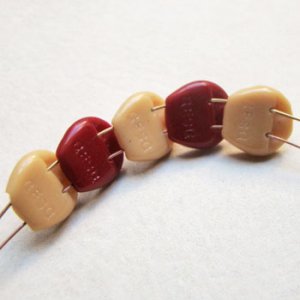 画像4: 16mm "GESG" 2-hole beads "Tan"
