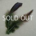 dyed sage green feather