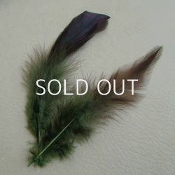 画像1: dyed sage green feather