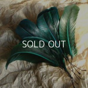 画像1: vintage green wired feather