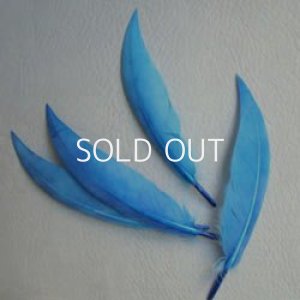 画像1: dyed blue feather
