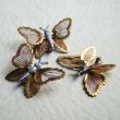 画像1: "MONET" butterfly pin finding (1)