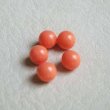 画像1: 5pcs 6mm plastic coral No-hole (1)