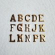 画像1: brass Alphabet stamping (1)