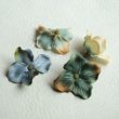 画像1: Blue Mix Color Hydrangea "Large" (1)