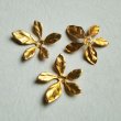 画像1: brass 5-petal leaf stamping (1)