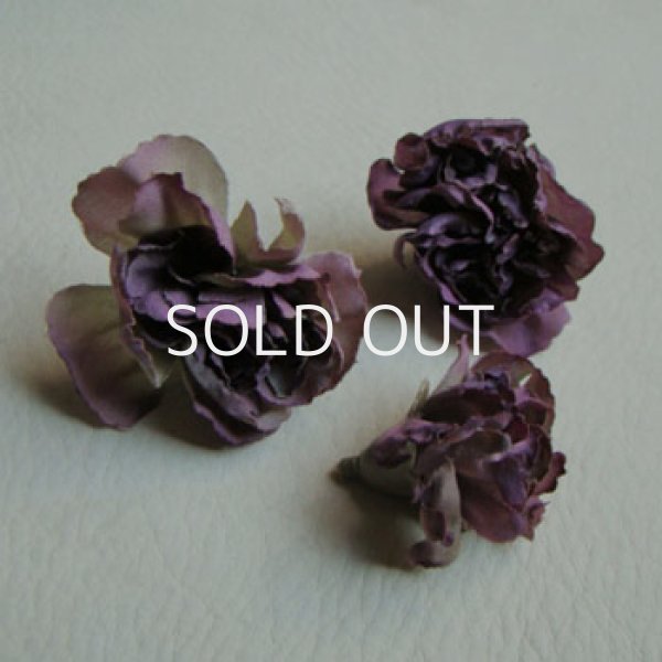 画像1: Purple Dry Carnation "S" "M" "L" (1)