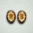 画像1: 1pair 18×13 "Tortoise/ Gold/ Brown" cameo (1)