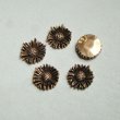 画像1: 2pcs 13mm bronze Marguerite cabochon (1)