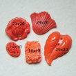 画像2: 5pcs Coral floral glass set "A" (2)