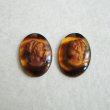 画像1: 1 pair 18x13 "Tortoise/ Brown" cameo (1)