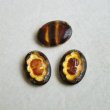 画像2: 1pair 18×13 "Tortoise/ Gold/ Brown" cameo (2)