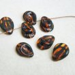 画像1: 16x12 "Tortoise" teardrop beads (1)