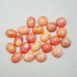 画像2: 8x6 OV carved coral cabochon (2)