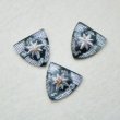 画像2: 17x17 shield "Compass Rose" intaglio (2)