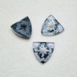 画像1: 17x17 shield "Compass Rose" intaglio (1)