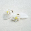 画像3: 16.5x10 White Alabaster leaf charm (3)