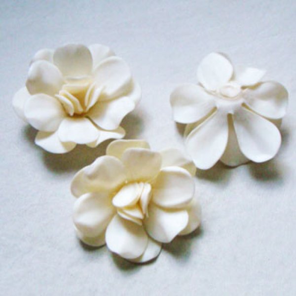 画像2: 35mm celluloid flower (2)