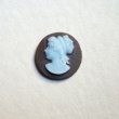 画像2: 1 pair 14mm "Brown/Blue" plastic cameo (2)