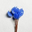 BE-25186 "Blue"