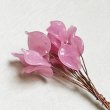 BE-25181 "Pink"