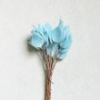 BE-25184 "Turquoise"