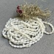 画像3: 20pcs 3x5~6 baroque rice "White Alabaster" (3)