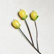 画像2: 16x11 Lemon on wire (2)
