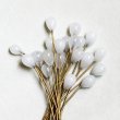 画像3: 10x7 White Opal drop pin (3)