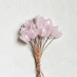 BE-25180 "Pale Pink"