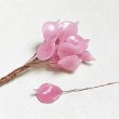 BE-25181 "Pink"