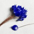 BE-25187 "Lapis"