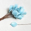 BE-25184 "Turquoise"