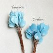 左：BE-25184 "Turquoise" / 右：BE-25185 "Cerulean"