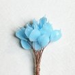BE-25185 "Cerulean"