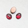 画像1: 10x8 Ladybug cabochon (1)