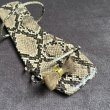 画像5: GP 26x14 shoe clip finding (5)