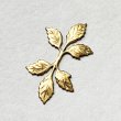 画像2: 32x18 leaf spray stamping (2)