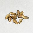 画像2: 2pcs 11x5 textured leaf stamping (2)